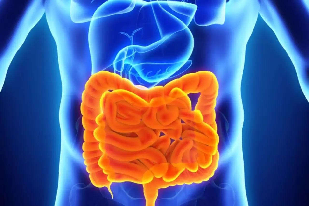 Come evitare gonfiore dopo i pasti: il trucco della respirazione SP - Respiro profondo post pranzo